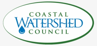 Activate The River Ride With Patagonia - Nyu Stern