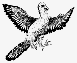 Picture Transparent Download Archaeopteryx Big Image - Archaeopteryx Clipart