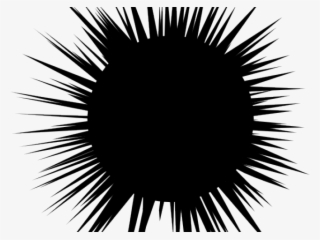 Sea Urchin Clipart Sea Plankton - Ouriço Do Mar Png