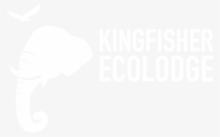 Contact Us - Deleted Scenes From The Cutting