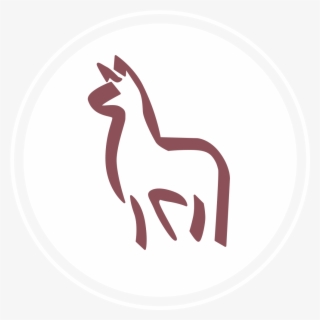 Bed & Breakfast, Alpaca Farm, Farm B&b Vacation - Circle