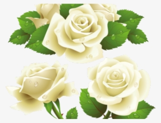 White Rose Clipart Bunch - Rose Vector Free Download