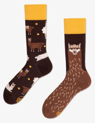 Fluffy Alpaca - Many Mornings Alpaka