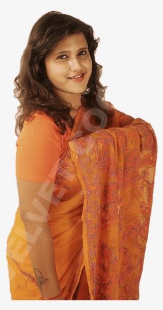 Lucknowi Embroidery Saree -orange - Photo Shoot