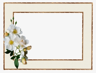 Frame, Gold Edge, White Rose - Wilcom