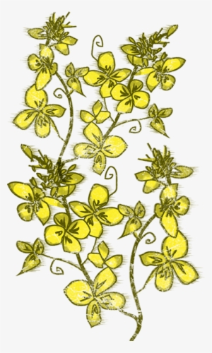 There Are Two Oilseed Rape Crops Planted In Ireland,