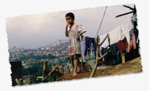 Almost At The Top Of The Garbage Heap, I Saw This Boy - Roof