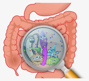 Are Gut Bacteria To Blame For Anxiety, Depression In - Essential Handbook To A Healthy Gut