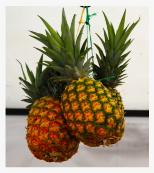 Frutas Y Verduras Jairo - Fruit