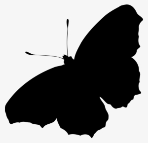 This Free Icons Png Design Of Peacock Butterfly