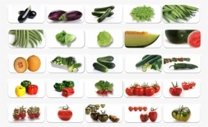 Empresa Hortofruticola Ubicada En El Polígono Industrial - Hortalizas Y Sus Nombres