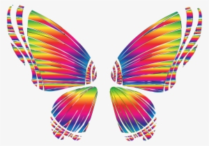 Rgb Butterfly Silhouette 10 8 No Background By @gdj,