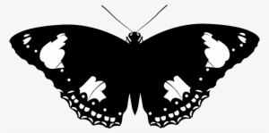Animal Silhouette, Silhouette Clip Art Butterfly - Clear Silhouettes Of Animals
