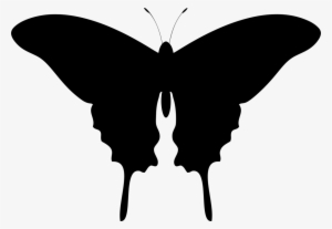 Butterfly Silhouette Drawing Lepidoptera - Don't Date A Psycho