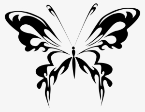 Butterfly Black And White Png - Black And White Butterfly Pdf