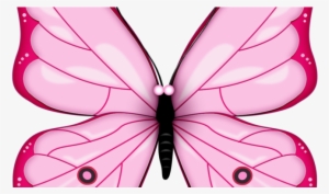 Best Free Butterfly Colorful Images See Here - Transparent Background Butterfly Clipart
