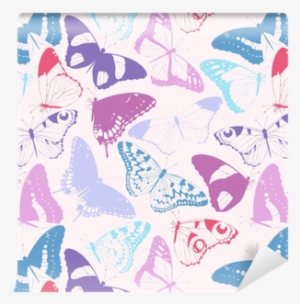 Lepidoptera