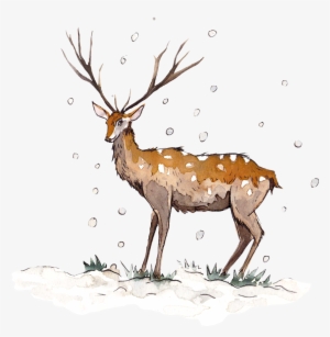 Nuevos Propósitos Para El - Reindeer