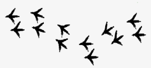 Chicken Tracks - On Hip - Chicken Tracks