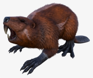 Castoroides - Beaver In Ark