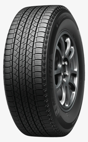 Tire - Tiger Paw Awp