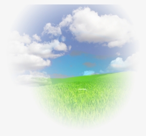 Creative Minds And Nurture Their Inventive Thinking - Wonderswork