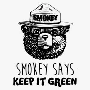 Smokey The Bear Drawing