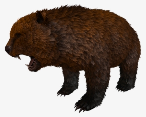 Direbear - New Dire Bear Ark