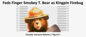 Recently It's Been A Proven Fact, To Me Anyway, That - Smokey The Bear