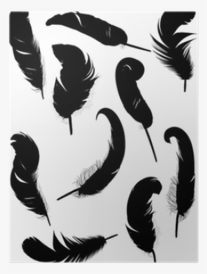 Feather
