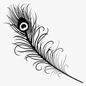 Feather, Ing, Az - Peacock Feather Vector Black And White