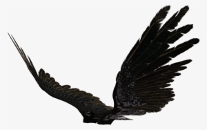 Realistic Angel Wings Side View Download - Folded Wings ...