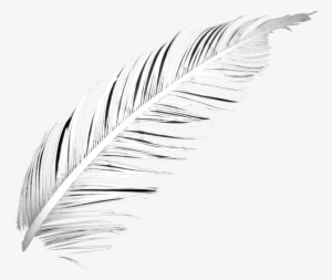 Above Withered-feather - Line Art