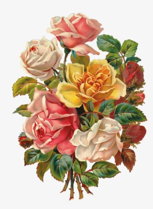 Vintage Roses Scrap - Very Nice Pictures Of Flowers