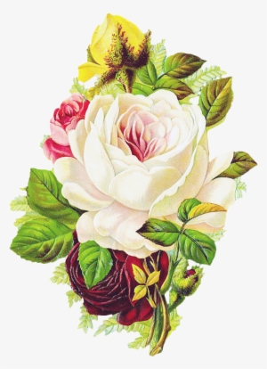Free Vintage Rose - Vintage Rose Design