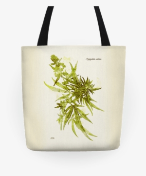 Cannabis Botanical Illustration Tote Bag - Cannabis Botanical Illustration