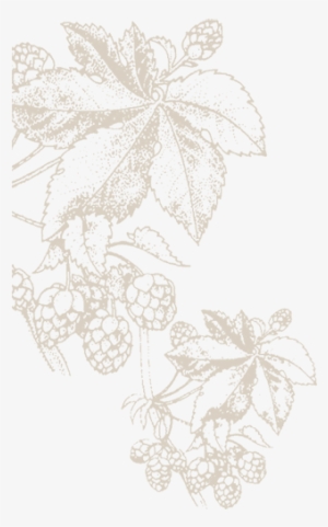 Background-flourish - Drawing