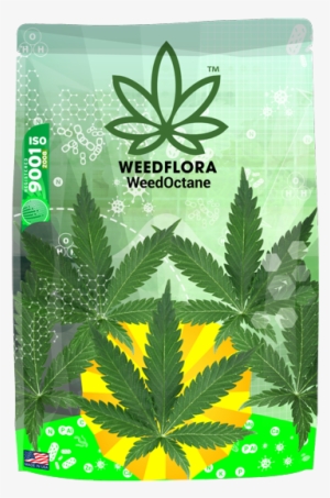 Whats In Your Bag? Tile Coaster