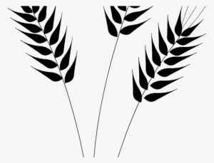 Wheat Clipart Clear Background - Wheat Clip Art Png