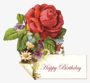 Vintage Birthday Greeting With Red Rose - Birthday Vintages Red Roses