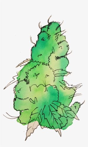 Click To Enlarge Pot 5 - Portable Network Graphics