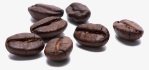 Coffee Beans Transparent Free Png - Coffee Pods Mockup
