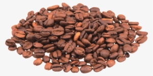 Coffee Beans Png Image - Luwak Coffee Beans Png