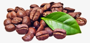 Vqm's Hermetic Storage Technique Works Perfectly For - Photography