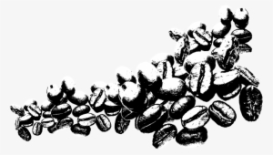 Coffee Beans - Coffee Beans Png White