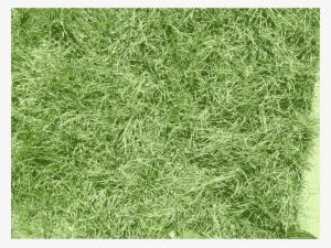 Png Black And White Stock Big Image Png - Lawn