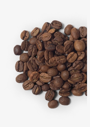 Coffee Beans - Coffee