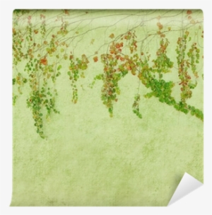 Green Ivy On Old Grunge Antique Paper Texture Wall - Photograph