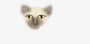 Coffeebean - Domestic Short-haired Cat