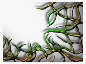 Creepy Clipart Vine - Wood Vine Png